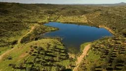 Finca Dehesa Tamujoso en Huelva - Imagen 5