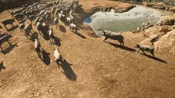 Finca Dehesa Tamujoso en Huelva - Imagen 2