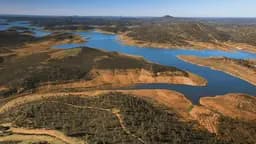Finca Dehesa Tamujoso en Huelva - Imagen 4